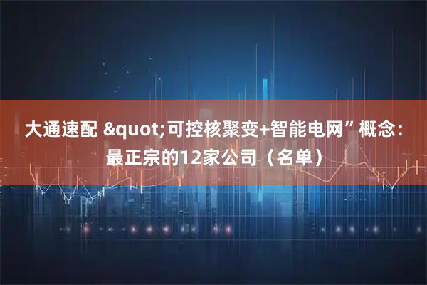 大通速配 "可控核聚变+智能电网”概念：最正宗的12家公司（名单）