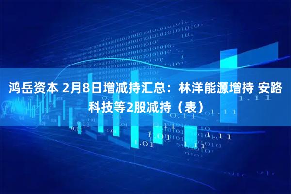 鸿岳资本 2月8日增减持汇总：林洋能源增持 安路科技等2股减持（表）