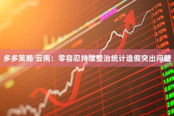 多多策略 云南：零容忍持续整治统计造假突出问题
